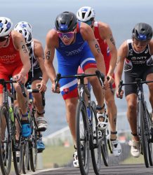 cabccde9-9e24-4e8b-bd5e-093e5674c4fa